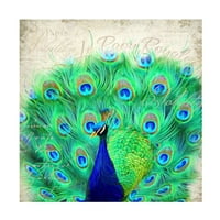 Cora niele 'Royal Peacock Canvas Art