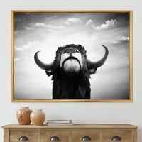 Црно -бел портрет на шпански бик што го враменив сликарското платно уметничко печатење