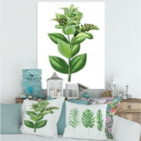 Дизајн Антички зелени лисја растенија vi 'Традиционална печатење на wallидови на платно