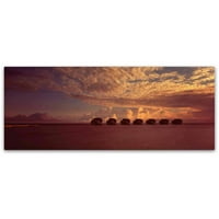 Трговска марка ликовна уметност Зајдисонце umeумеира Витвевали Канвас уметност од Дејвид Еванс